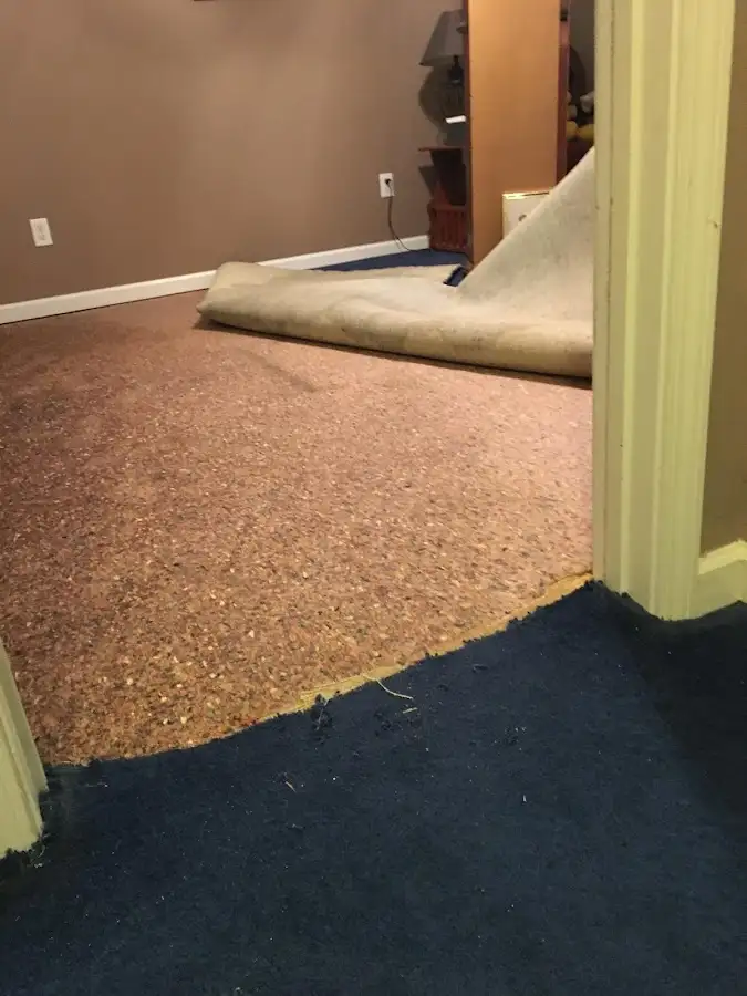 Carpet pad removal revealing water damage during Water Mitigation Services in Paris