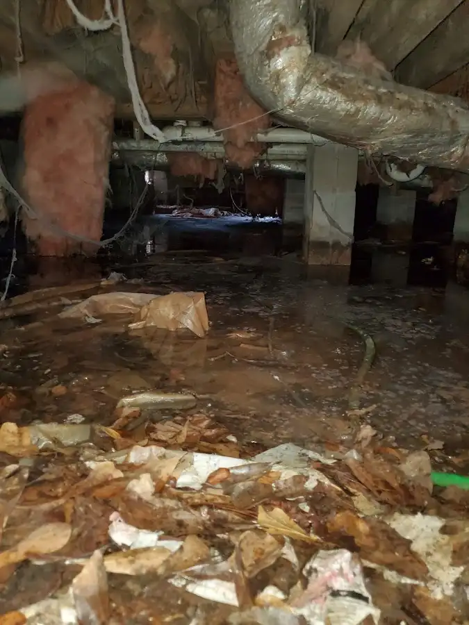 Crawl space flood assessment for Leak Detection & Repair in Paris